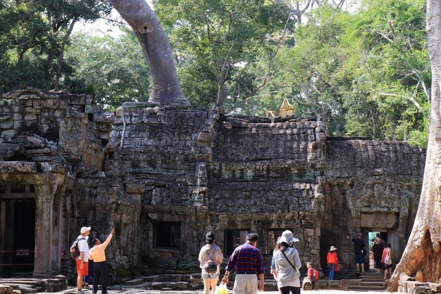 <캄보디아/앙코르와트 자유여행> 3박5일 두근두근!! - TA PROHM 타 프롬 : 세쨰날 (2013.12.21 ) 관련 이미지 12
