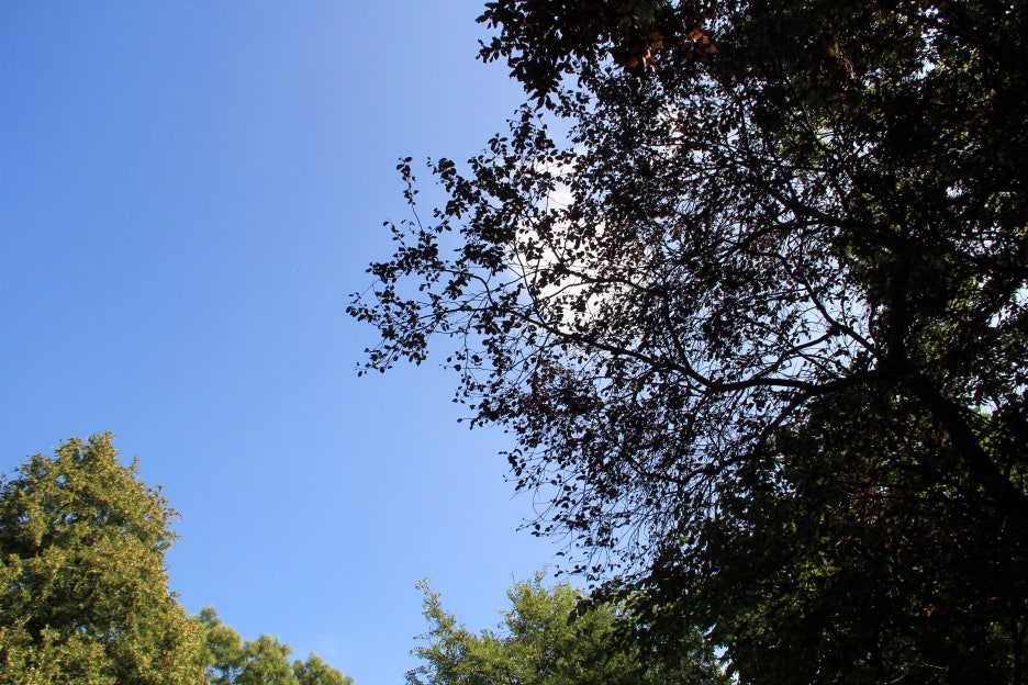 sky of wien stadtpark 관련 이미지 1