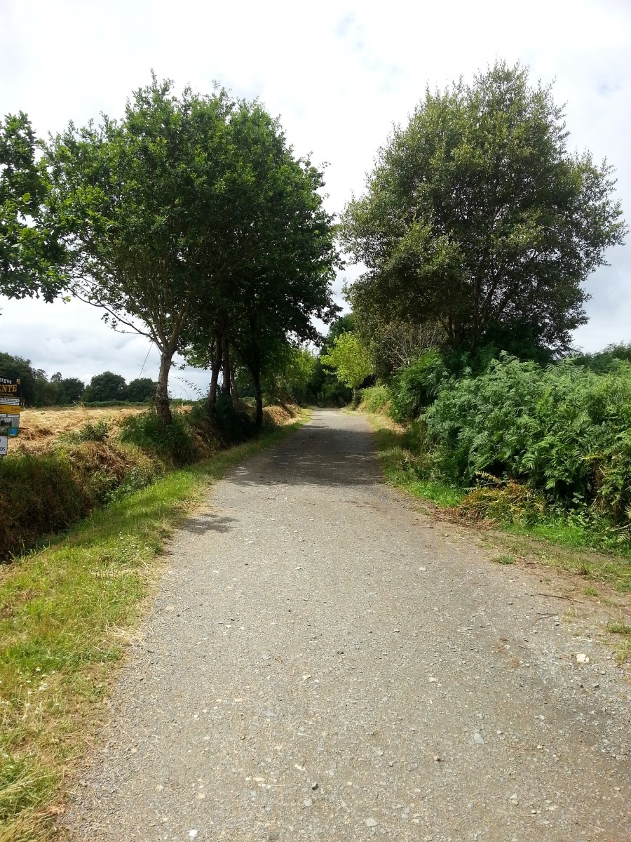 camino de santiago 카미노 데 산티아고 # 3일째-그다음이야기 ..Palas de rei ~ Arzua 28.9 km...2014.7.20 관련 이미지 33