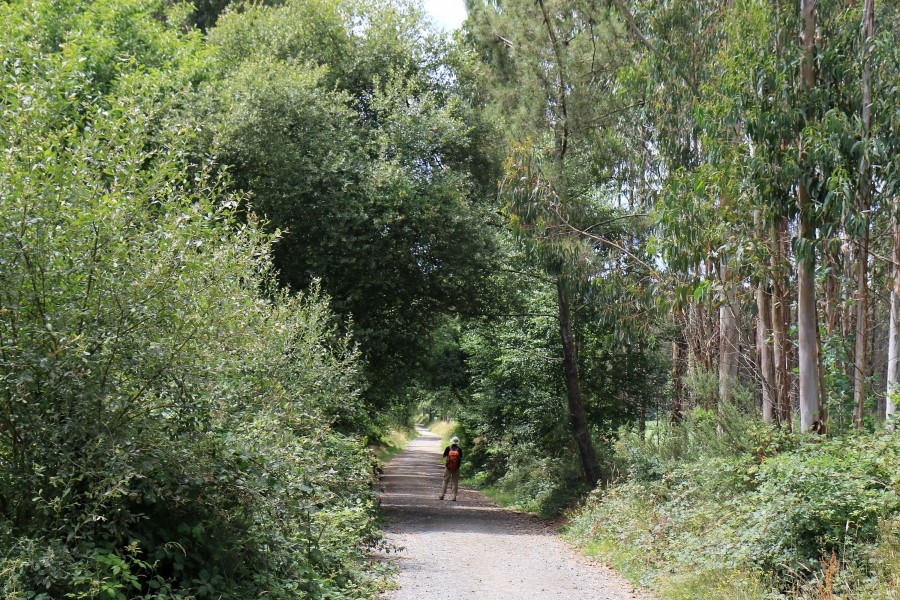 camino de santiago 카미노 데 산티아고 # 3일째-그다음이야기 ..Palas de rei ~ Arzua 28.9 km...2014.7.20 관련 이미지 49
