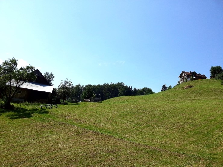 리기 Rigi Kulm - Vitznau to Rigi Kulm 피츠나우에서 리기산 : 2013 관련 이미지 8