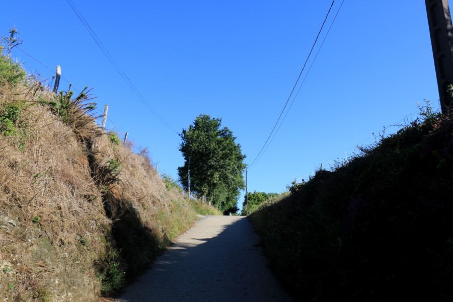 camino de santiago 카미노 데 산티아고 # 4일째..Arzua ~ Lavacolla  28.3 km...2014.7.21 관련 이미지 13
