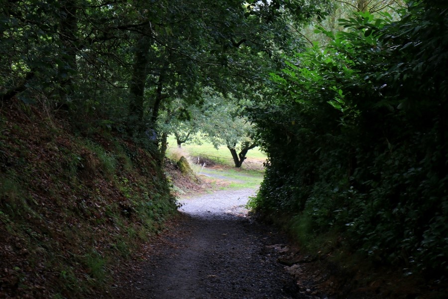 camino de santiago 카미노 데 산티아고 # 3일째..Palas de rei ~ Arzua 28.9 km...2014.7.20 관련 이미지 23