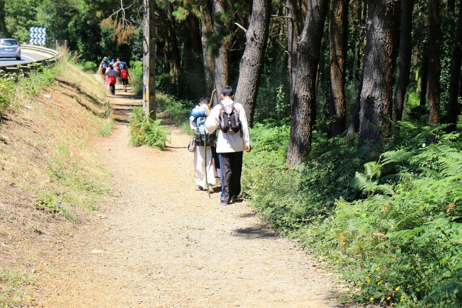 camino de santiago 카미노 데 산티아고 # 4일째-이어지는 길..Arzua ~ Lavacolla 28.3 km...2014.7.21 관련 이미지 18