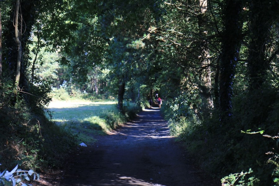 camino de santiago 카미노 데 산티아고 # 4일째..Arzua ~ Lavacolla  28.3 km...2014.7.21 관련 이미지 17