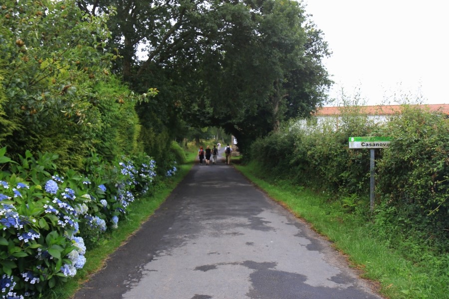 camino de santiago 카미노 데 산티아고 # 3일째..Palas de rei ~ Arzua 28.9 km...2014.7.20 관련 이미지 21