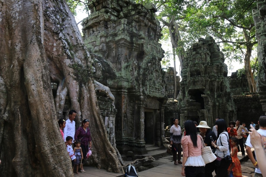 <캄보디아/앙코르와트 자유여행> 3박5일 두근두근!! - TA PROHM 타 프롬 : 세쨰날 (2013.12.21 ) 관련 이미지 27