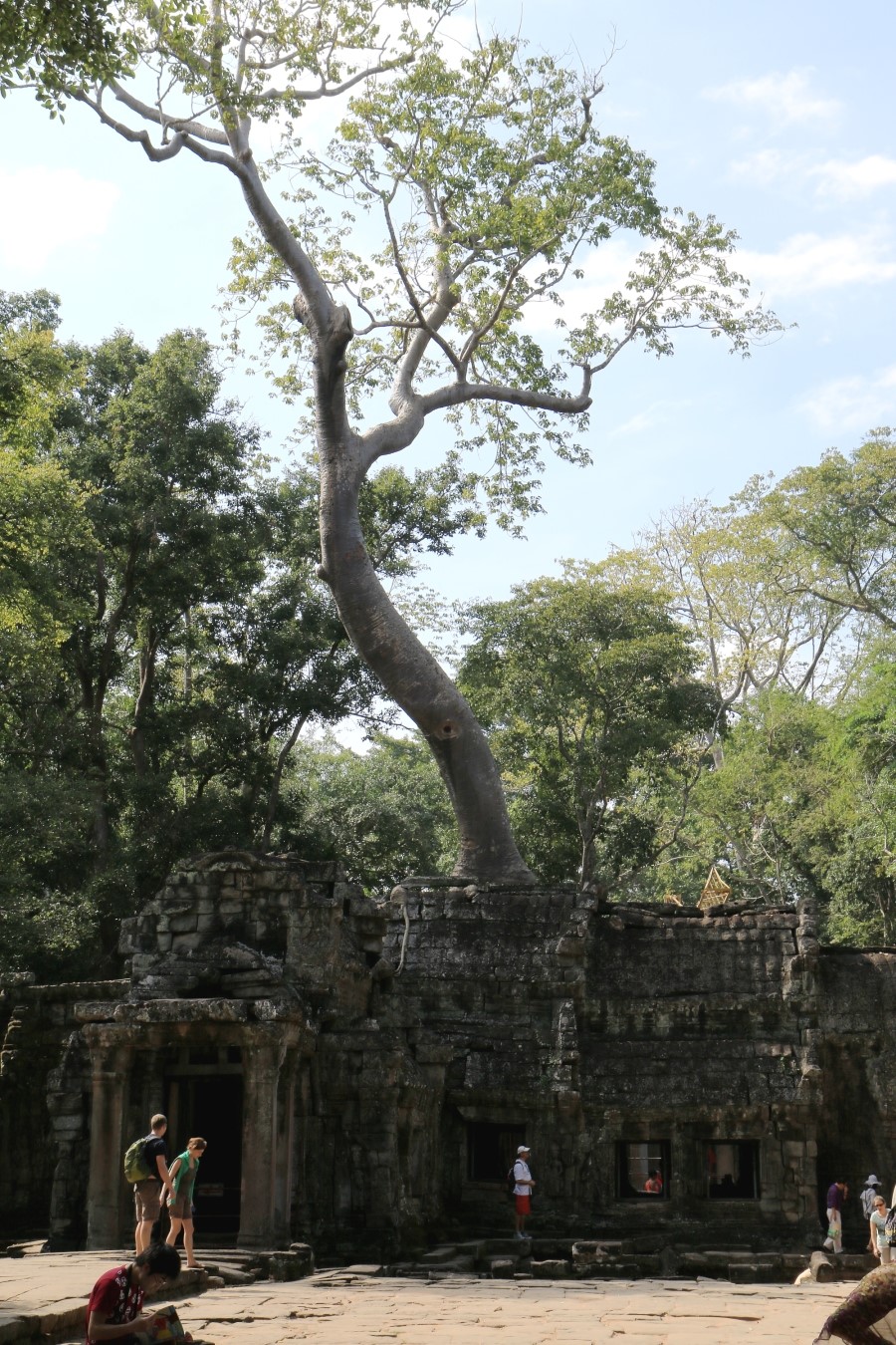 <캄보디아/앙코르와트 자유여행> 3박5일 두근두근!! - TA PROHM 타 프롬 : 세쨰날 (2013.12.21 ) 관련 이미지 13
