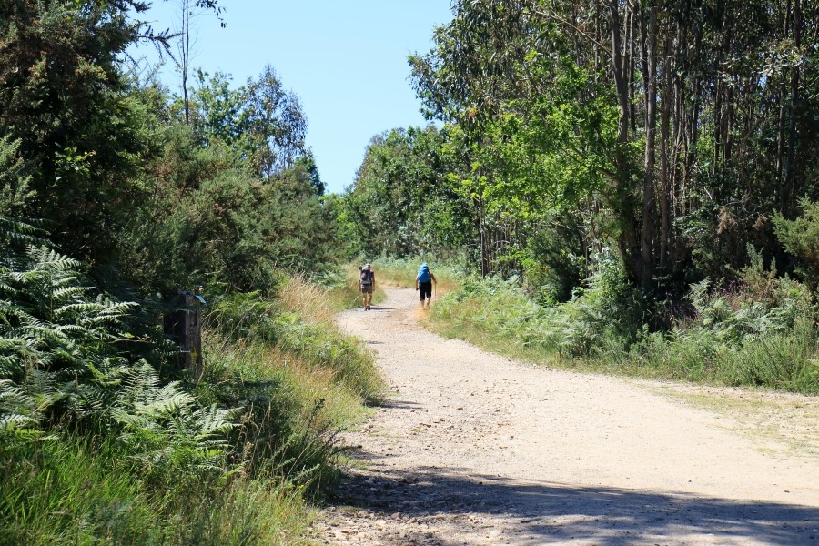 camino de santiago 카미노 데 산티아고 # 4일째-라바꼬야까지..Arzua ~ Lavacolla 28.3 km...2014.7.21 관련 이미지 14