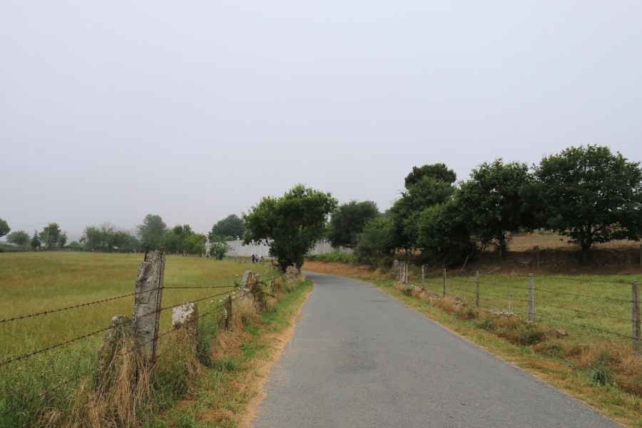 산티아고 가는길(camino de santiago 2014) : 사리아(sarria)에서 시작하기..#4-1 사리아 Sarria ~ portomarin 2014.7.18 관련 이미지 27
