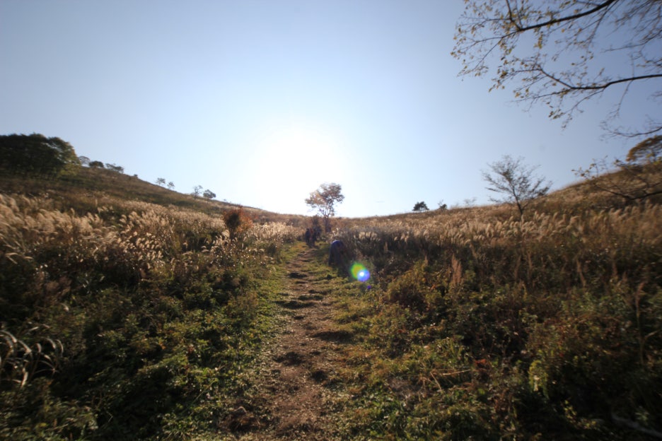 민둥산 억새밭에 오르다...#2011년 10월 8일. 관련 이미지 10