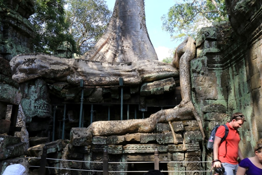 <캄보디아/앙코르와트 자유여행> 3박5일 두근두근!! - TA PROHM 타 프롬 : 세쨰날 (2013.12.21 ) 관련 이미지 23