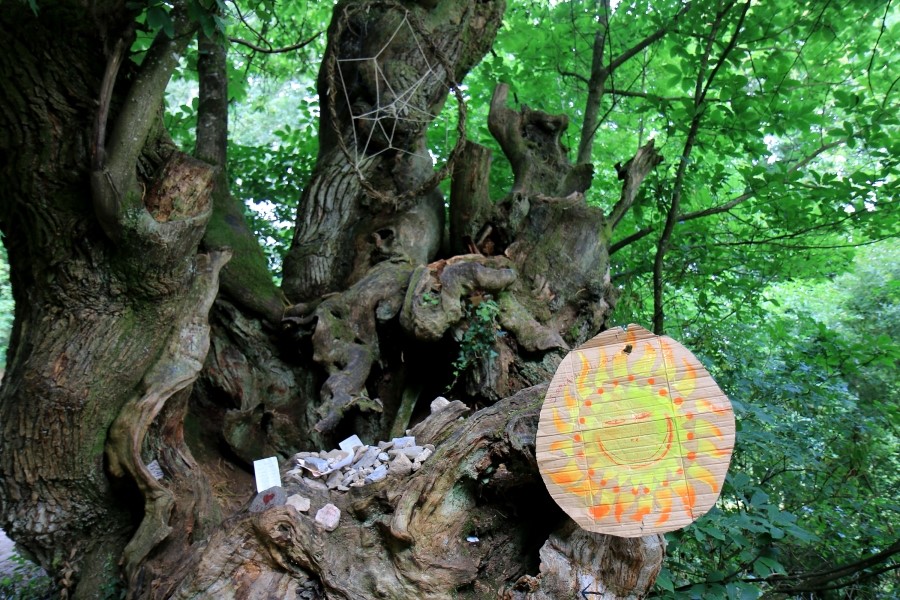 산티아고 가는길(camino de santiago 2014) : 사리아(sarria)에서 시작하기..#4-1 사리아 Sarria ~ portomarin 2014.7.18 관련 이미지 21