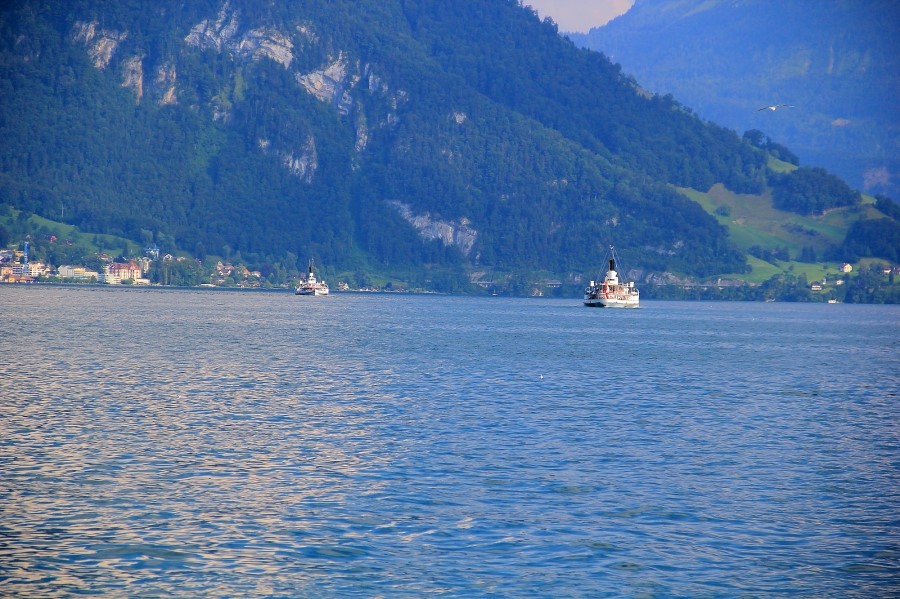 Rigi Kulm  to Weggis 리기쿨름에서 베기스로 : 2013 관련 이미지 20