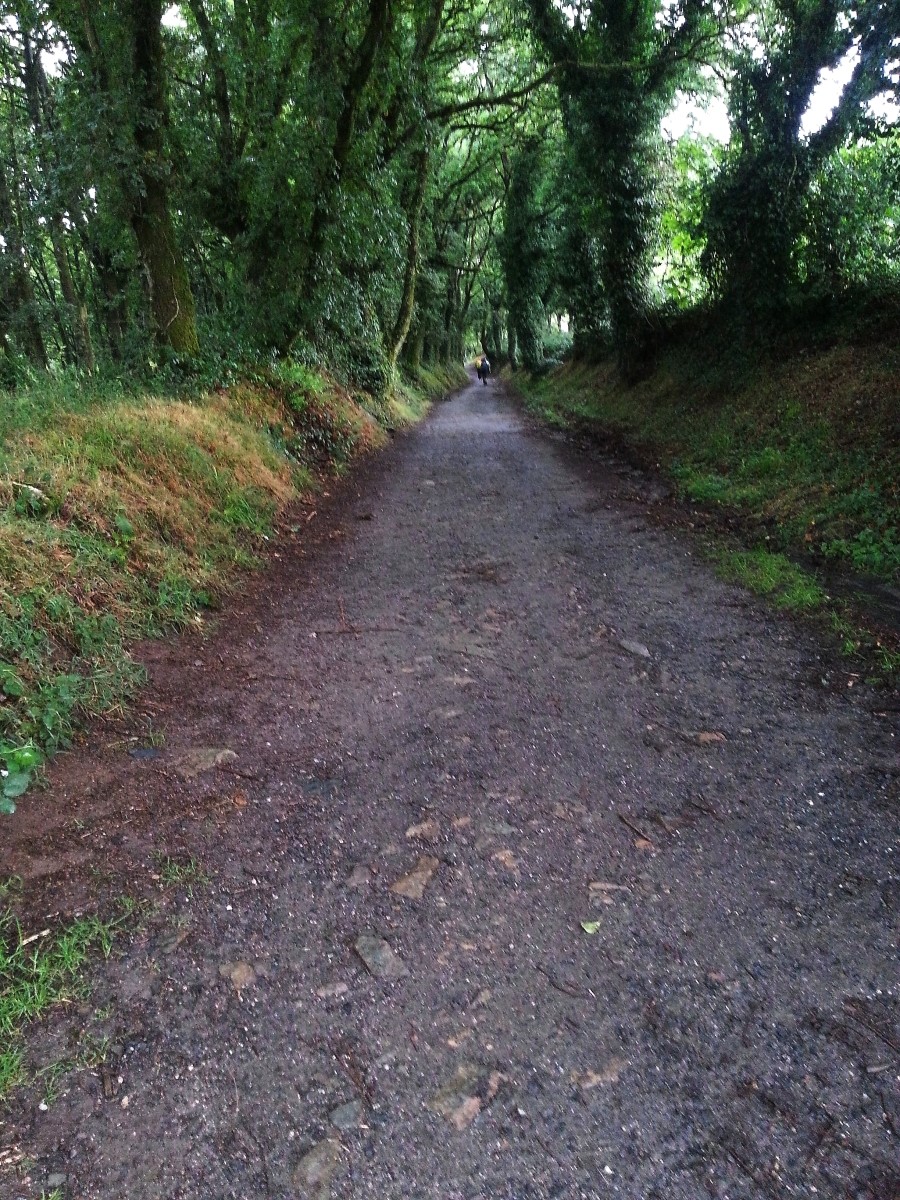 산티아고 가는길(camino de santiago 2014) #6-2 포르토마린 Portomarin ~ 팔레스 데 레이 Palas de Rei 2014.7.19 관련 이미지 45