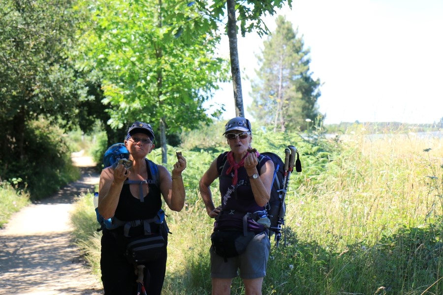 camino de santiago 카미노 데 산티아고 # 4일째-라바꼬야까지..Arzua ~ Lavacolla 28.3 km...2014.7.21 관련 이미지 22