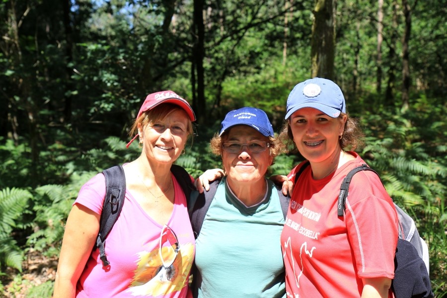 camino de santiago 카미노 데 산티아고 # 4일째-이어지는 길..Arzua ~ Lavacolla 28.3 km...2014.7.21 관련 이미지 20
