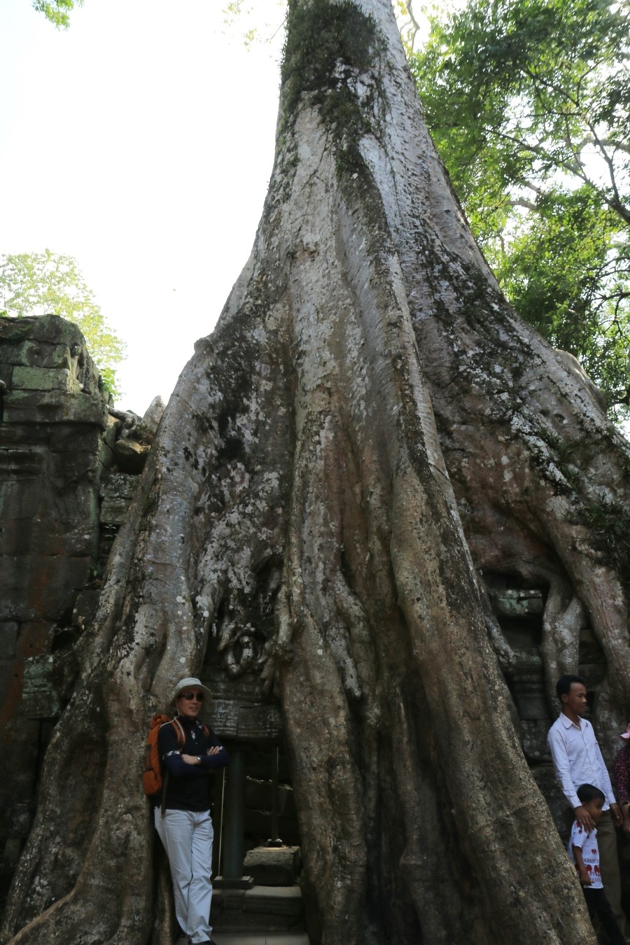 <캄보디아/앙코르와트 자유여행> 3박5일 두근두근!! - TA PROHM 타 프롬 : 세쨰날 (2013.12.21 ) 관련 이미지 26
