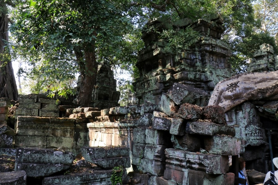 <캄보디아/앙코르와트 자유여행> 3박5일 두근두근!! - TA PROHM 타 프롬 : 세쨰날 (2013.12.21 ) 관련 이미지 24