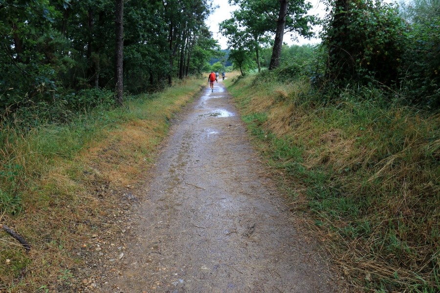 산티아고 가는길(camino de santiago 2014) #6-2 포르토마린 Portomarin ~ 팔레스 데 레이 Palas de Rei 2014.7.19 관련 이미지 10