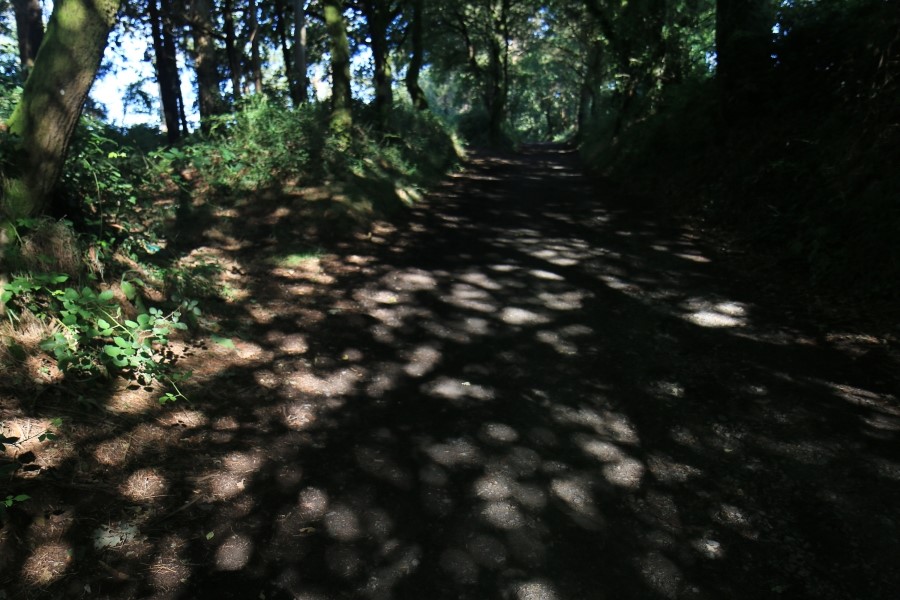 camino de santiago 카미노 데 산티아고 # 4일째..Arzua ~ Lavacolla  28.3 km...2014.7.21 관련 이미지 18