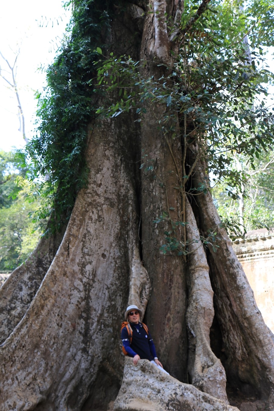 <캄보디아/앙코르와트 자유여행> 3박5일 두근두근!! - TA PROHM 타 프롬 : 세쨰날 (2013.12.21 ) 관련 이미지 28