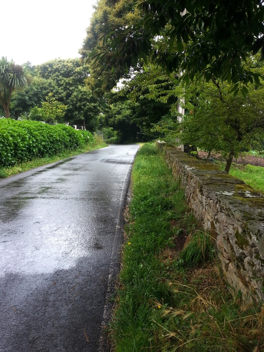 산티아고 가는길(camino de santiago 2014) #6-2 포르토마린 Portomarin ~ 팔레스 데 레이 Palas de Rei 2014.7.19 관련 이미지 44