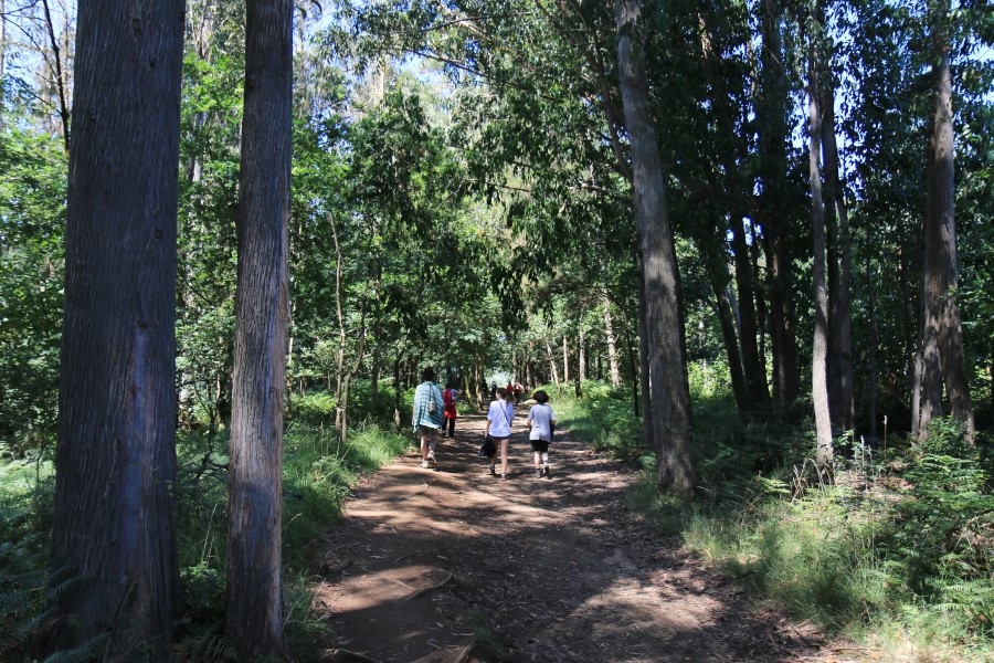 camino de santiago 카미노 데 산티아고 # 4일째-이어지는 길..Arzua ~ Lavacolla 28.3 km...2014.7.21 관련 이미지 27