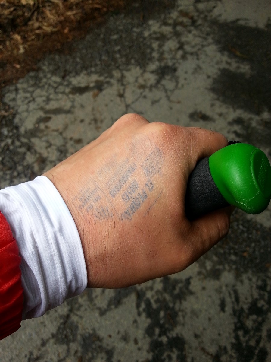 camino de santiago 카미노 데 산티아고 # 3일째-그다음이야기 ..Palas de rei ~ Arzua 28.9 km...2014.7.20 관련 이미지 32
