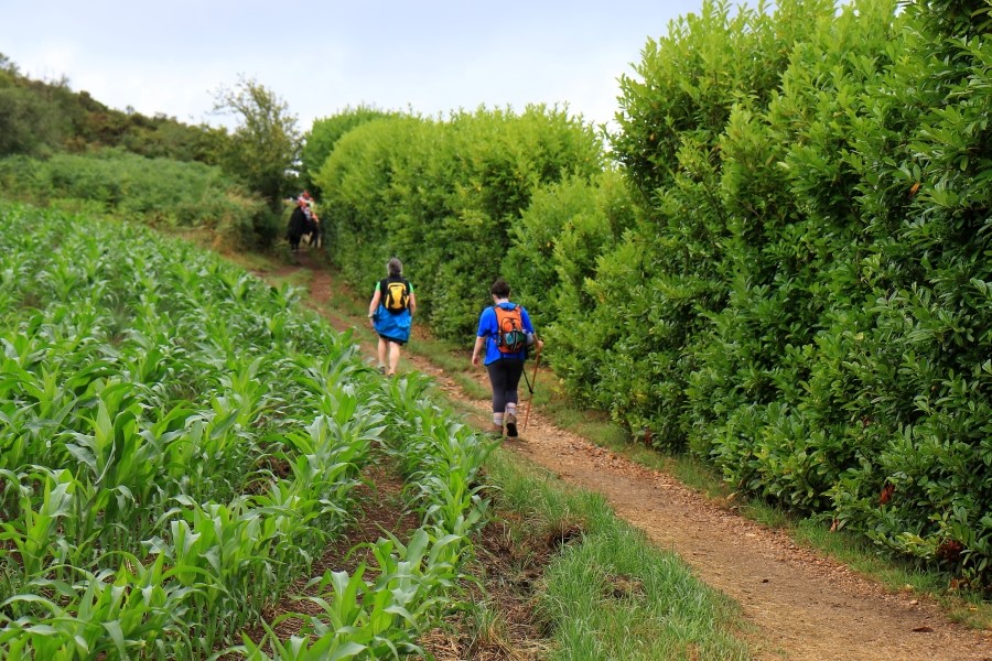산티아고 가는길(camino de santiago 2014) #6-2 포르토마린 Portomarin ~ 팔레스 데 레이 Palas de Rei 2014.7.19 관련 이미지 8