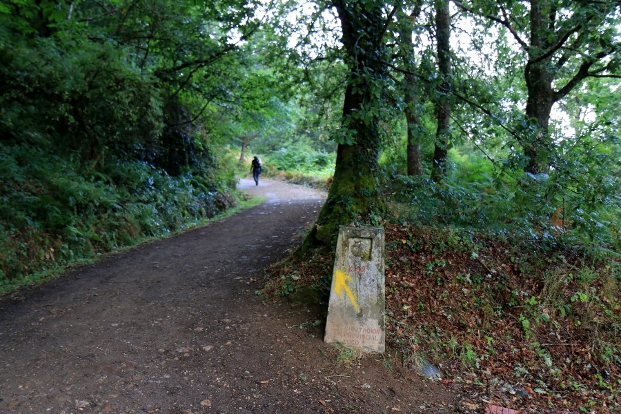 산티아고 가는길(camino de santiago 2014) #6-1 포르토마린 Portomarin ~ 팔레스 데 레이 Palas de Rei 2014.7.19 관련 이미지 10