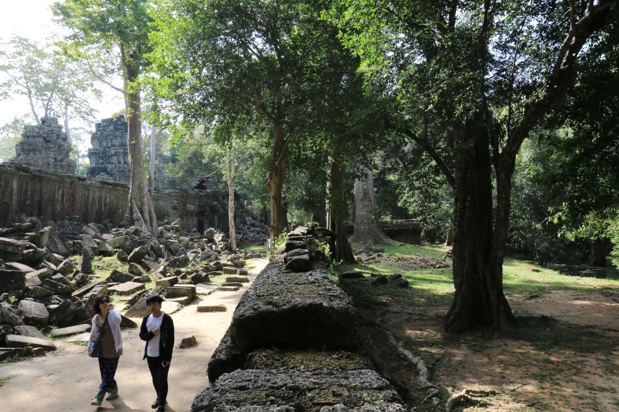 <캄보디아/앙코르와트 자유여행> 3박5일 두근두근!! - TA PROHM 타 프롬 : 세쨰날 (2013.12.21 ) 관련 이미지 41