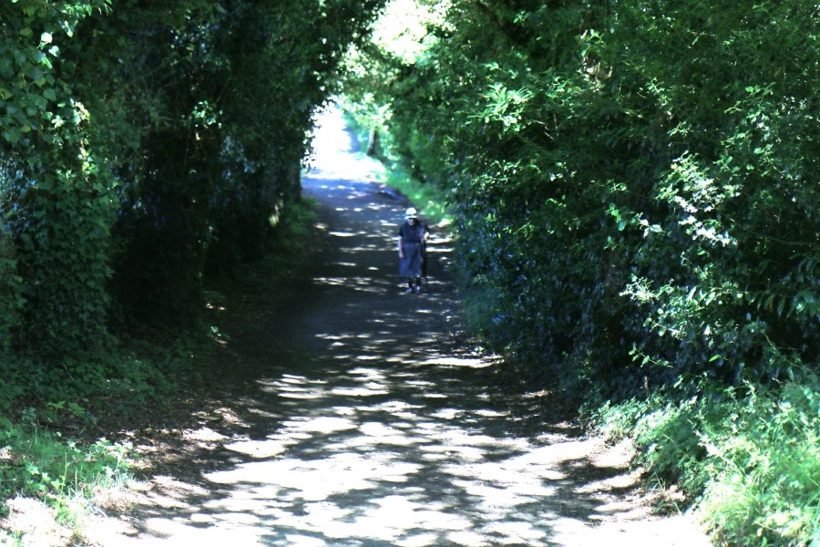 camino de santiago 카미노 데 산티아고 # 4일째-이어지는 길..Arzua ~ Lavacolla 28.3 km...2014.7.21 관련 이미지 5