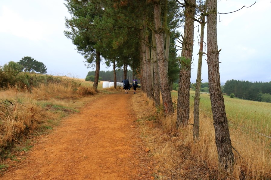 산티아고 가는길(camino de santiago 2014) #6-1 포르토마린 Portomarin ~ 팔레스 데 레이 Palas de Rei 2014.7.19 관련 이미지 14