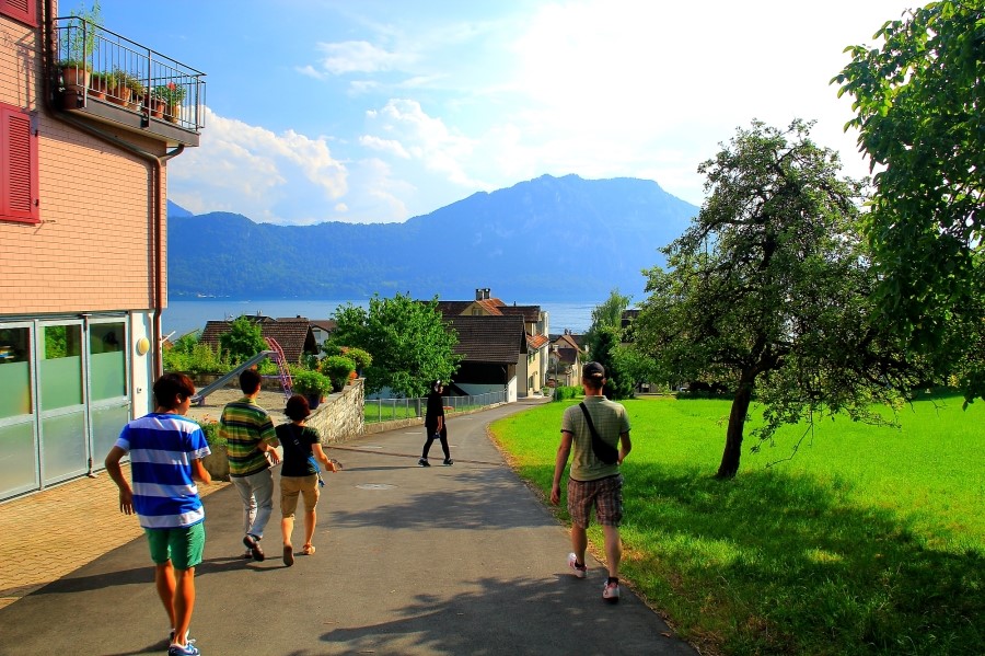 Rigi Kulm  to Weggis 리기쿨름에서 베기스로 : 2013 관련 이미지 9