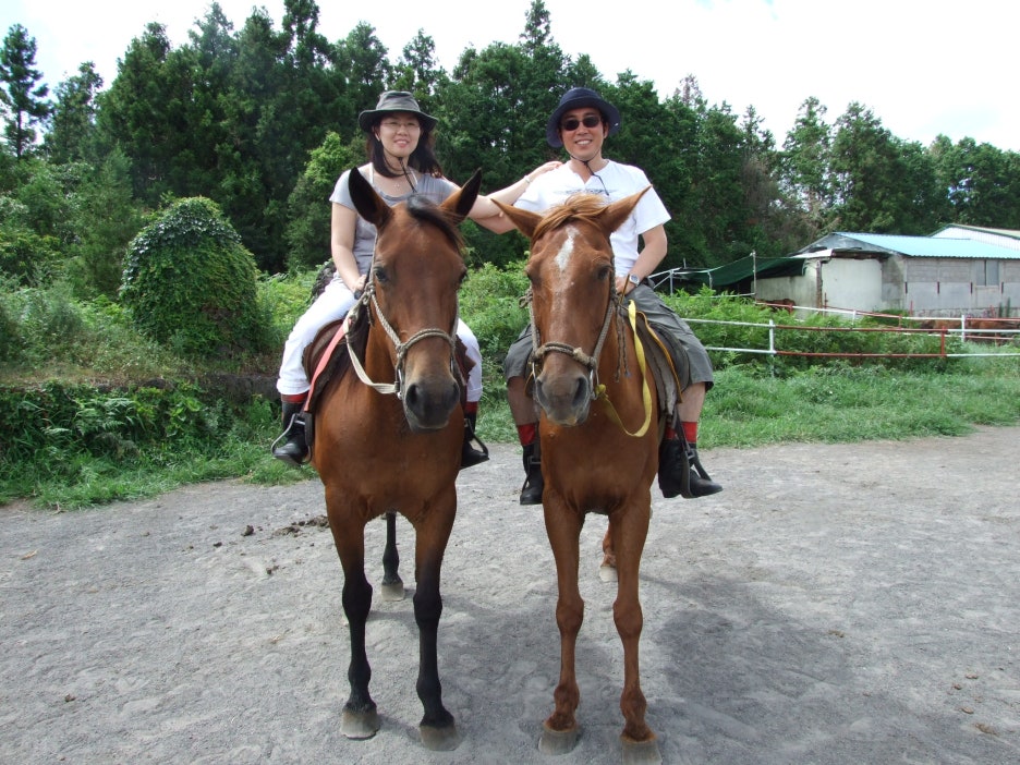 제주도 승마장에서 조랑말타기 체험....2008년 여름 관련 이미지 3