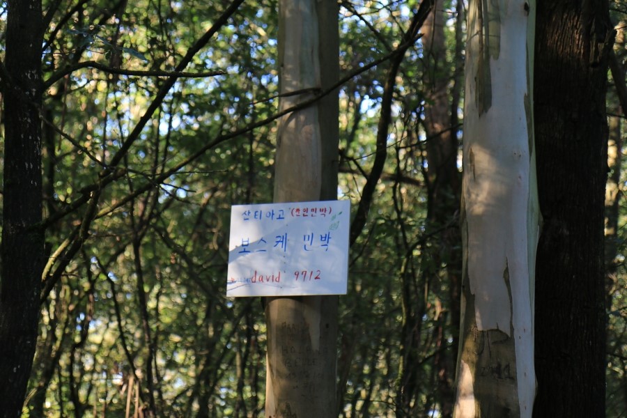 camino de santiago 카미노 데 산티아고 # 4일째..Arzua ~ Lavacolla  28.3 km...2014.7.21 관련 이미지 11