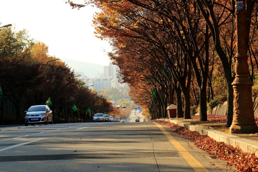 가을 열... 관련 이미지 1