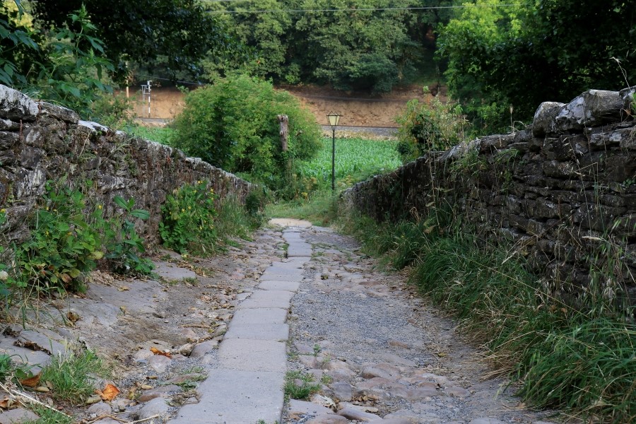 산티아고 가는길(camino de santiago 2014) : 사리아(sarria)에서 시작하기..#4-1 사리아 Sarria ~ portomarin 2014.7.18 관련 이미지 15