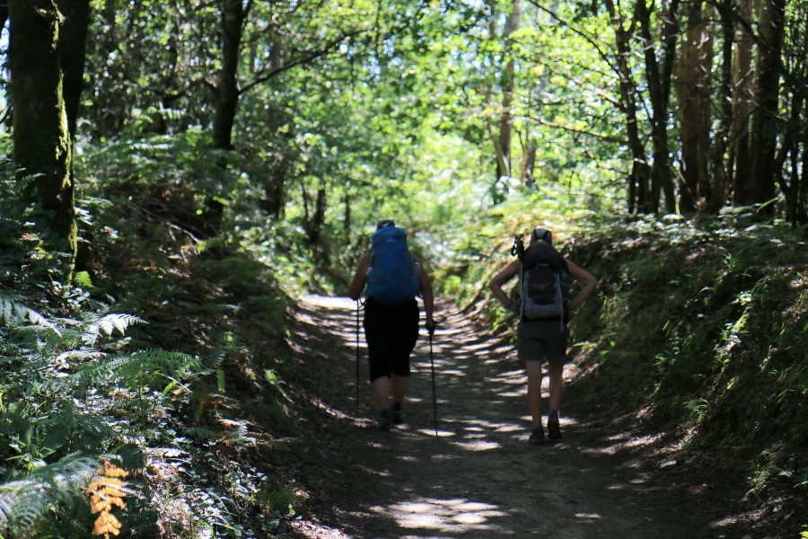 camino de santiago 카미노 데 산티아고 # 4일째-라바꼬야까지..Arzua ~ Lavacolla 28.3 km...2014.7.21 관련 이미지 25