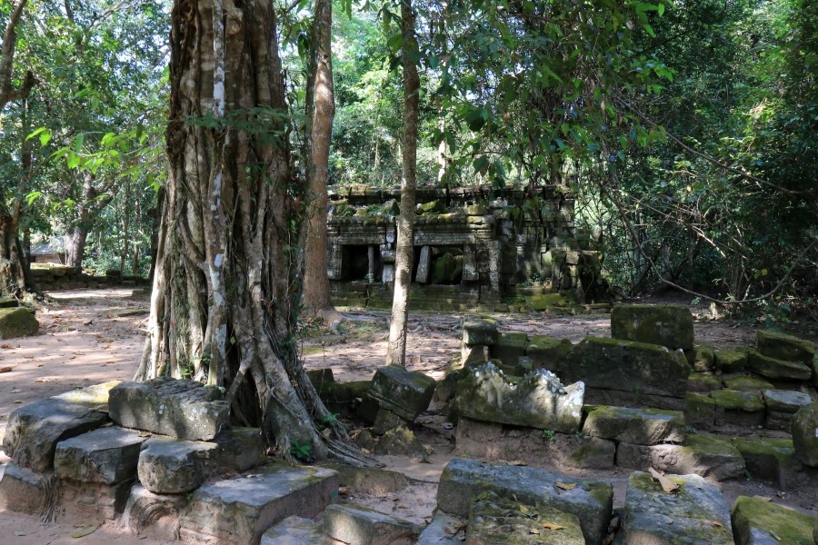 <캄보디아/앙코르와트 자유여행> 3박5일 두근두근!! - TA PROHM 타 프롬 : 세쨰날 (2013.12.21 ) 관련 이미지 8