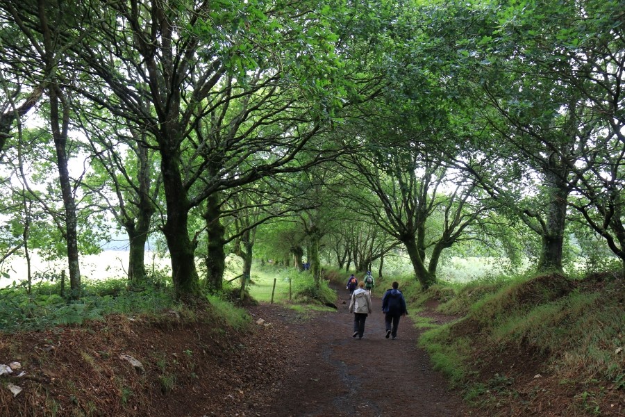 camino de santiago 카미노 데 산티아고 # 3일째..Palas de rei ~ Arzua 28.9 km...2014.7.20 관련 이미지 22