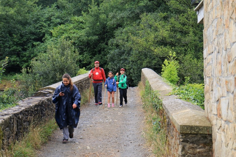 camino de santiago 카미노 데 산티아고 # 3일째-그다음이야기 ..Palas de rei ~ Arzua 28.9 km...2014.7.20 관련 이미지 3