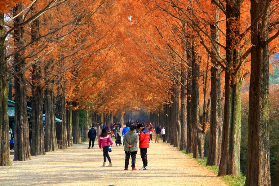가을 열다섯... 관련 이미지 2