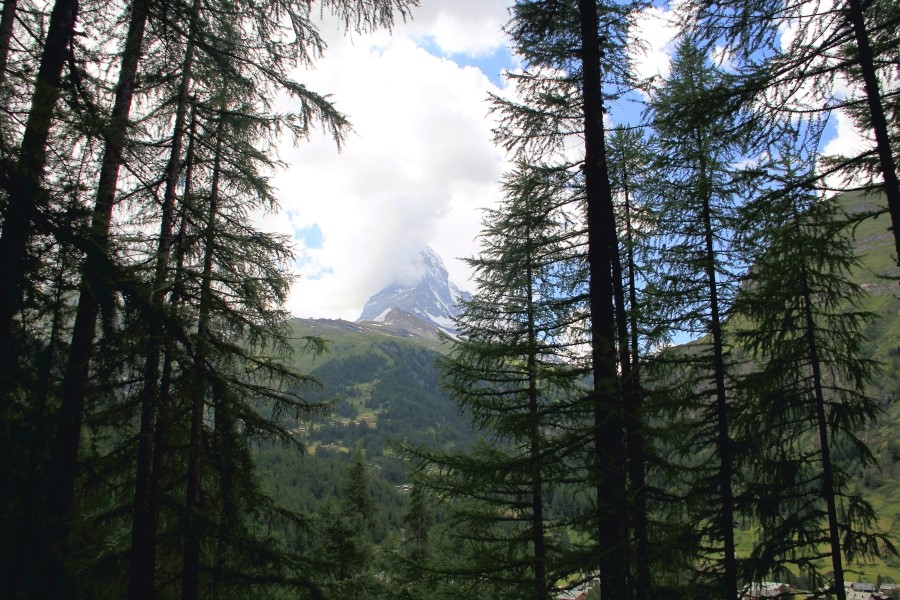 체르마트 Zermatt  - 핀델른마을Findeln 하이킹 : 2013 관련 이미지 24