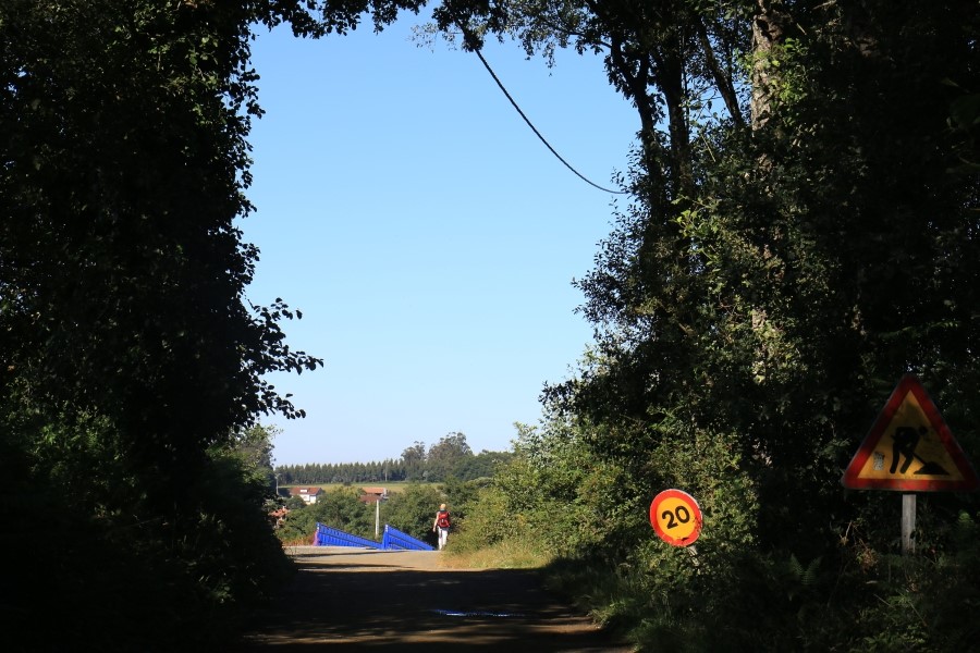 camino de santiago 카미노 데 산티아고 # 4일째..Arzua ~ Lavacolla  28.3 km...2014.7.21 관련 이미지 19