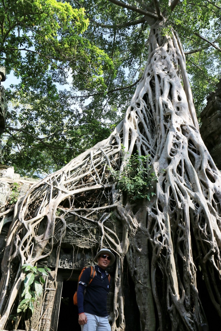<캄보디아/앙코르와트 자유여행> 3박5일 두근두근!! - TA PROHM 타 프롬 : 세쨰날 (2013.12.21 ) 관련 이미지 31