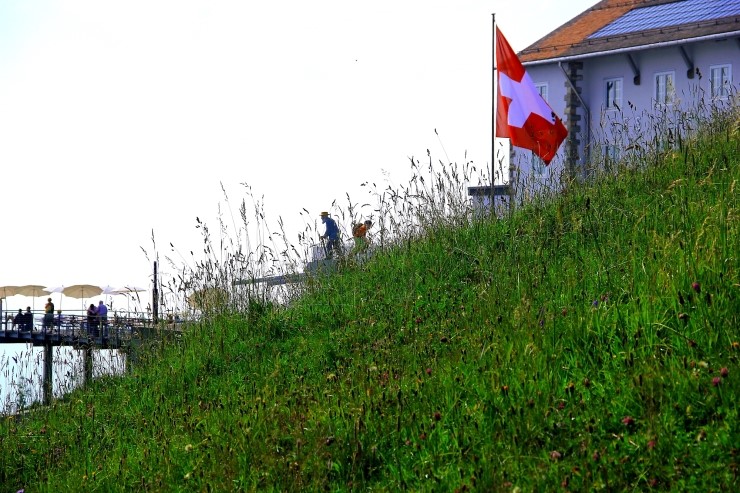 리기 Rigi Kulm - Vitznau to Rigi Kulm 피츠나우에서 리기산 : 2013 관련 이미지 14