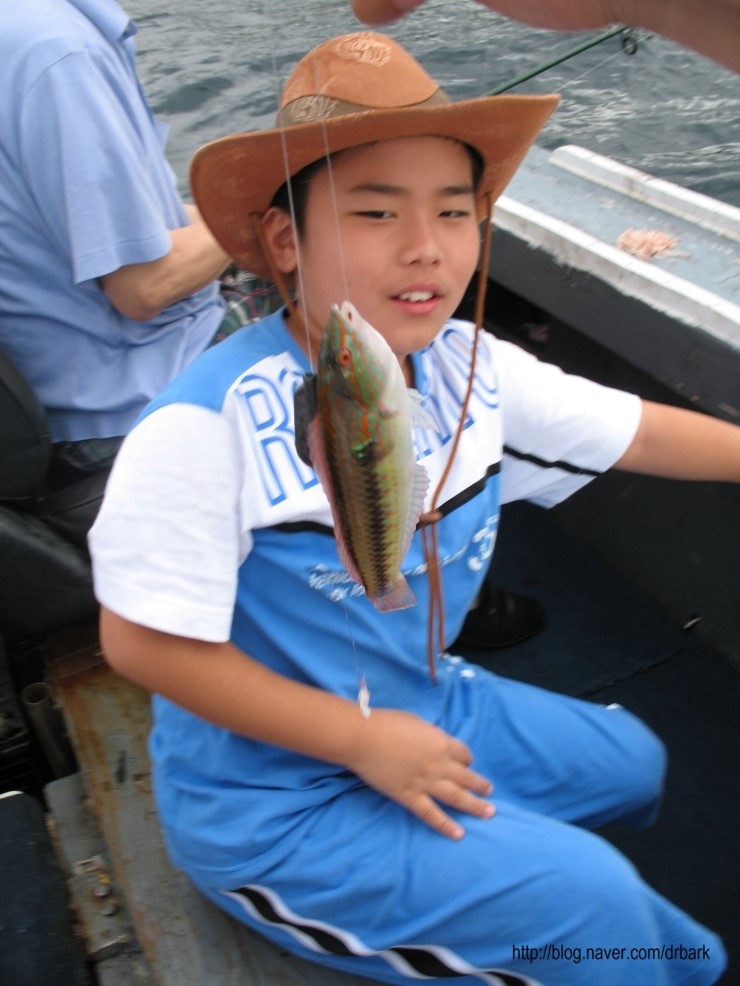 제주도 앞바다에서의 배낚시....# 2009년 7월26일.. 관련 이미지 3
