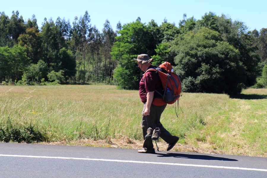 camino de santiago 카미노 데 산티아고 # 4일째-이어지는 길..Arzua ~ Lavacolla 28.3 km...2014.7.21 관련 이미지 10